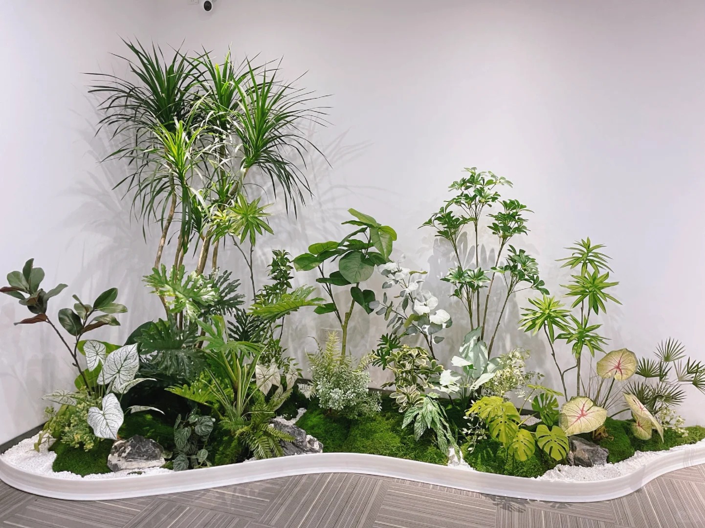 专业植物租赁，让前湾生活绿意盎然