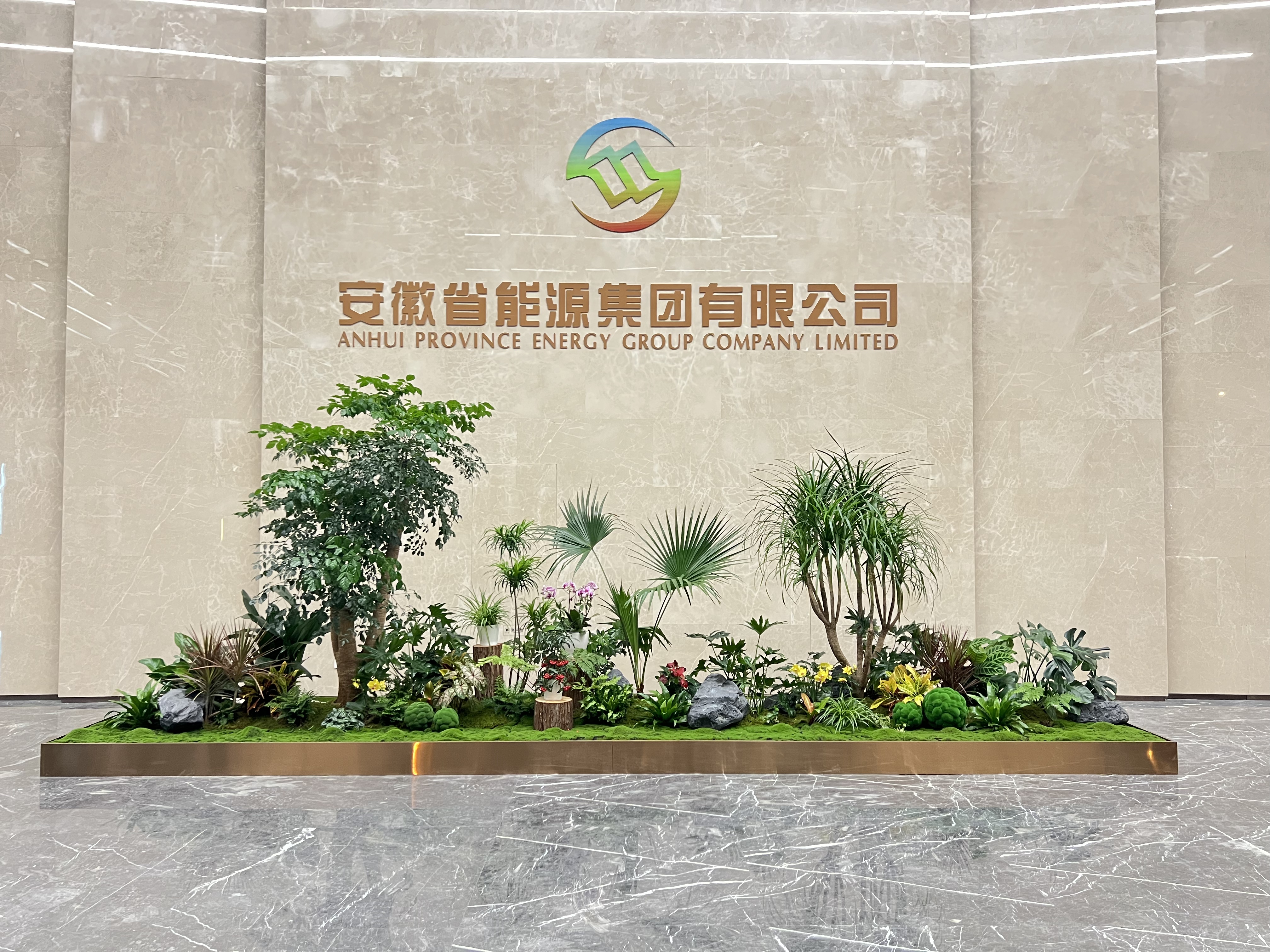 体验宁波江北专业花木租赁,拥抱自然之美